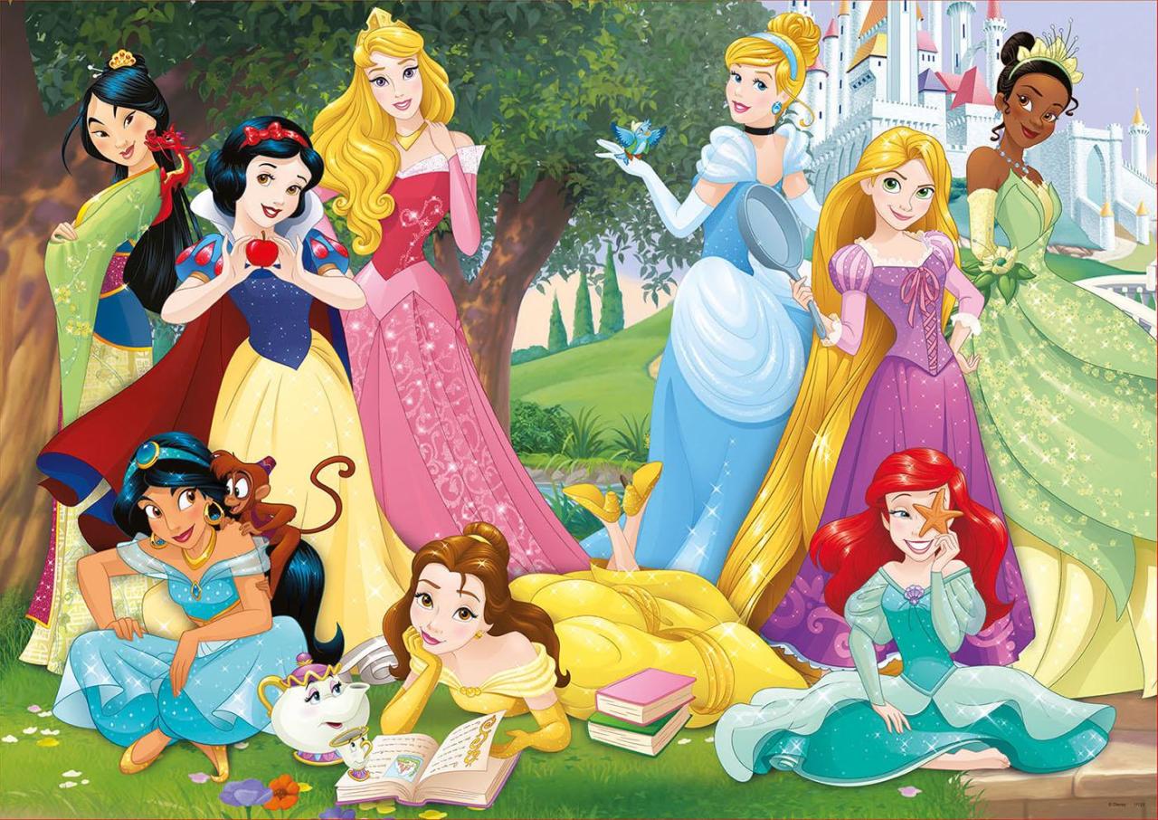 Educa Puzzle Princeses, Disney 500 Parça Puzzle