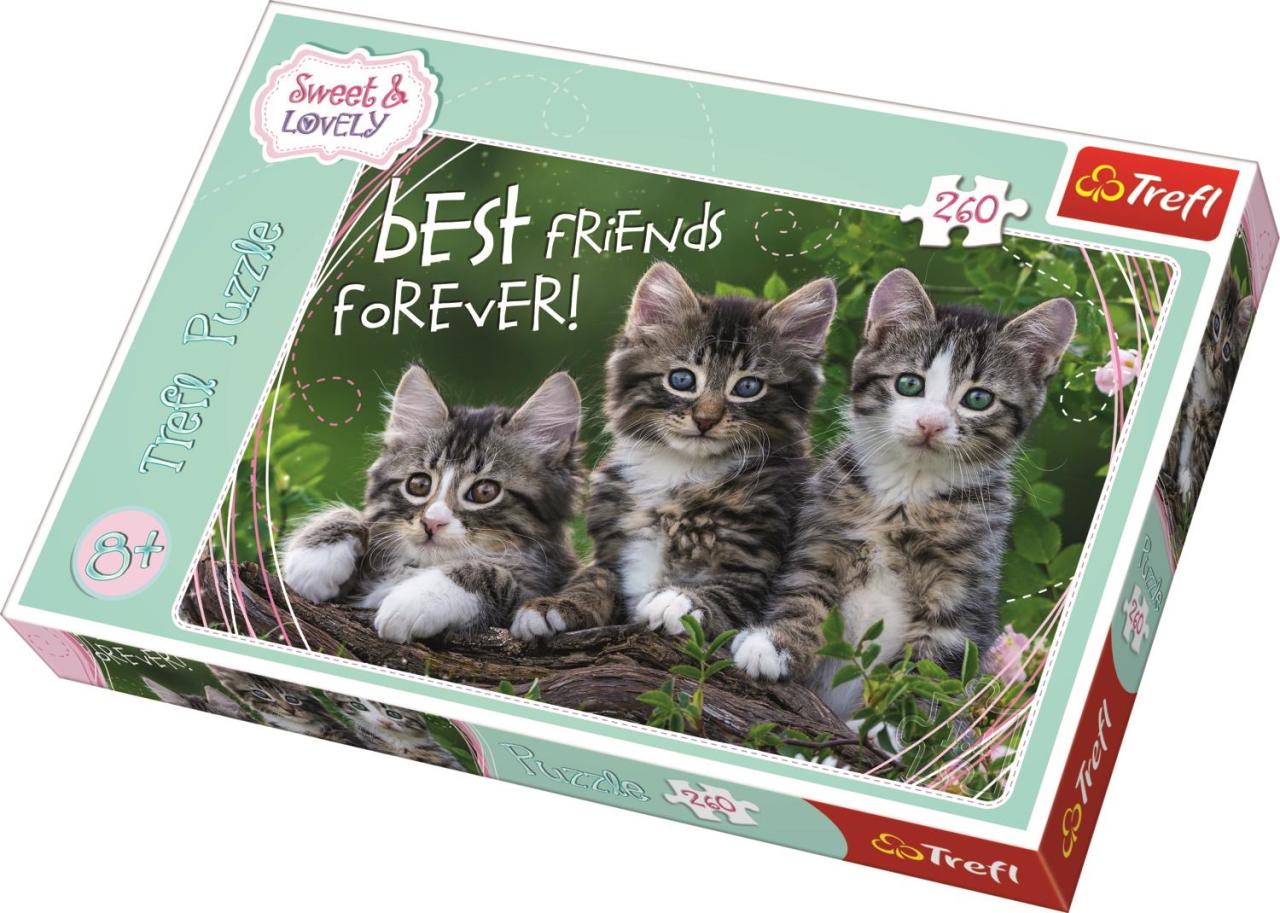 Trefl Puzzle Kitty Pals 260 Parça Yapboz