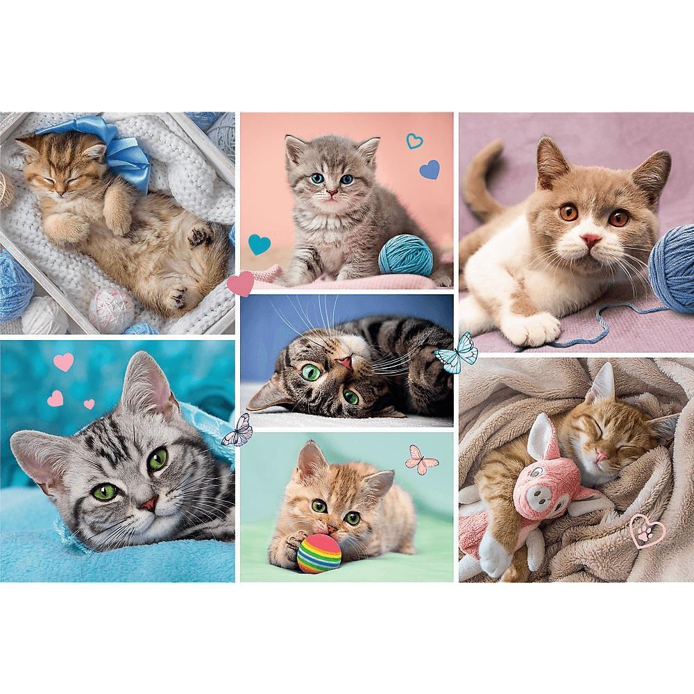 Trefl Puzzle In The Cat World 100 Parça Puzzle