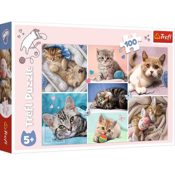 Trefl Puzzle In The Cat World 100 Parça Puzzle