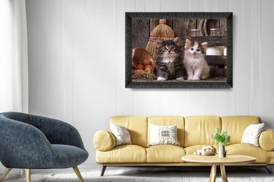 Art Tablo Şaşkın Kediler 48 x 34 cm Çerçeveli Tablo