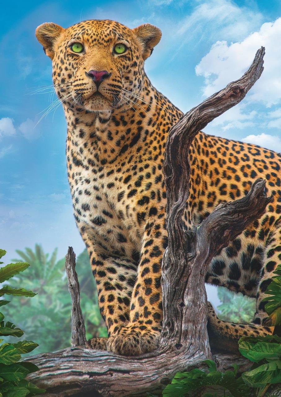 Trefl Puzzle Wild Leopard 500 Parça Puzzle