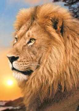 Trefl Puzzle Lion 500 Parça Puzzle