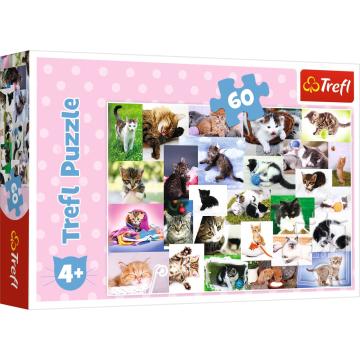 Trefl Çoçuk Puzzle Cat's World 60 Parça Puzzle