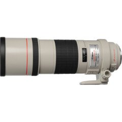 Canon EF 300 mm F/4L IS USM Telefoto Lens