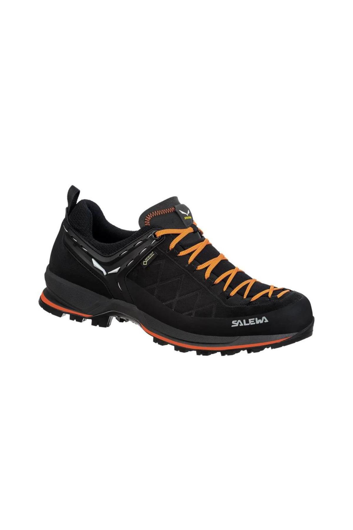 Salewa Mtn Trainer 2 GTX Erkek Ayakkabı