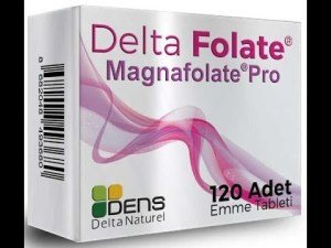 Delta Folate Magnafolate Pro 120 Tablet