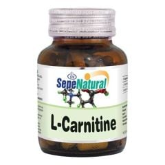 L-Carnitine 90 Kapsül x 480 mg