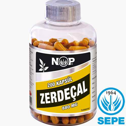 Zerdeçal Kapsül 200 x 880 mg Curcumin Kurkumin Tur