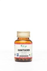 AFYE HAWTHORNE 600 MG 60 KAPSÜL