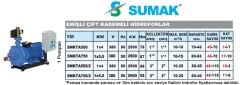 Sumak SMKTA550/2  1X4 kW  380V  Tek Pompalı Emişli Çift Kademeli Yatay Hidrofor