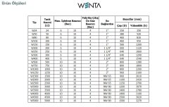 Wenta  WE-2000  2000 Litre  16 Bar  Dik Ayaklı Hidrofor ve Genleşme Tankı (Manometreli)