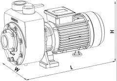 SUMAK,  DSM300/2,  3Hp,  220v Kendinden Klapeli Santrifüj Pompa