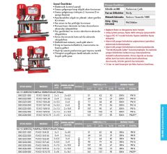 ETNA Y2 KO 15/7-40 - 2x5.5 HP 380V İKİ POMPALI ALARM KİTLİ YANGIN HİDROFORU