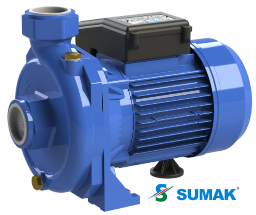 SM 100-S 1.HP 220V TEK KADEMELİ SICAK SU SANTRİFÜJ POMPA