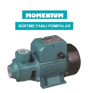 Momentum ATM80 1Hp 220V Preferikal Sürtme Fanlı Pompa