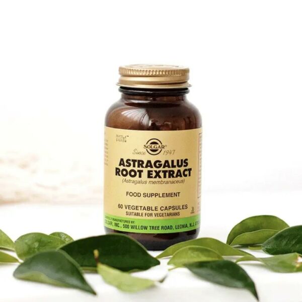 Solgar Astragalus Root Extract 60 Kapsül