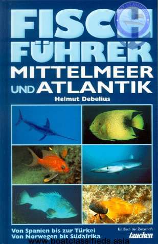 Fisch Führer Mittelmeer und Atlantik