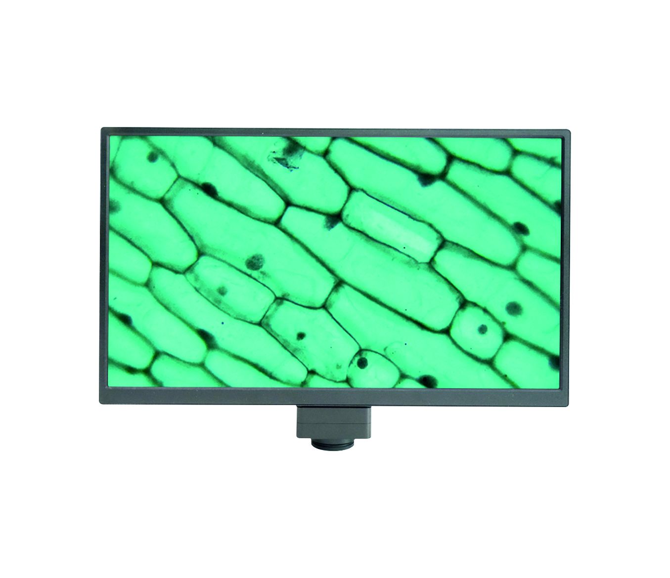 BLC-480A Serisi Hepsi Bir Arada Kamera