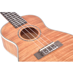 UKULELE 21'' CONCERT