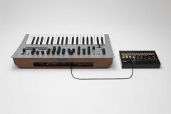 minilogue