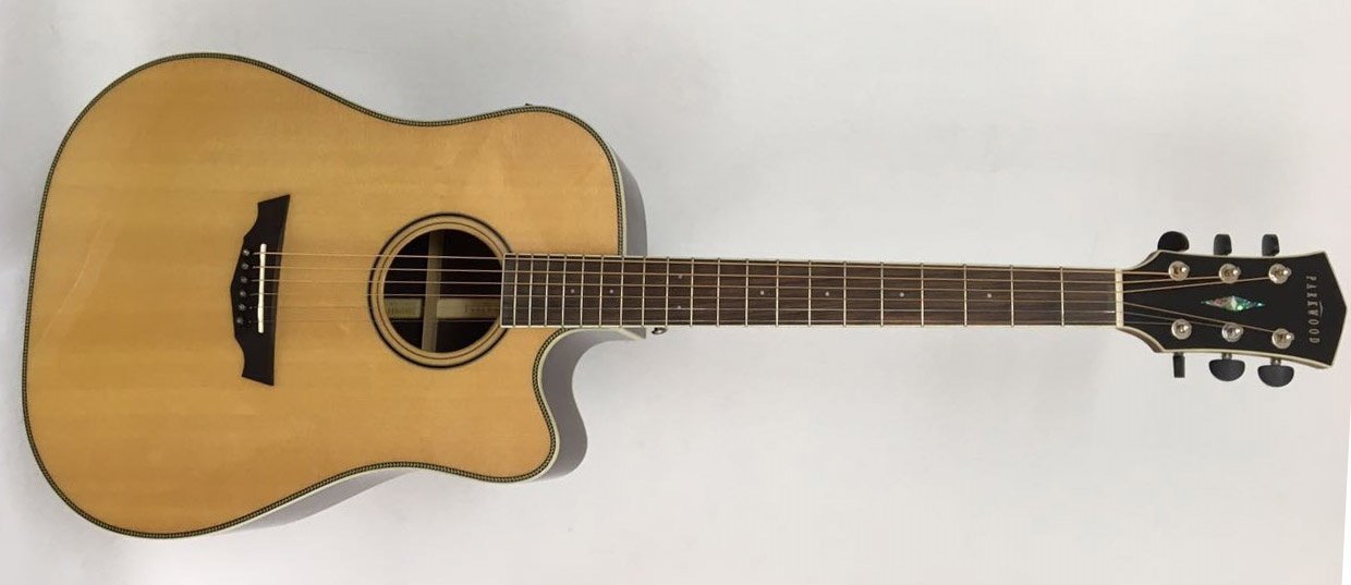 Cort PW560-NATC Elektro Akustik Gitar Sert Çantalı