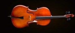 CELLO KILIFLI+YAY+REÇİNE, 3/4 SCALE, FRENCH STYLE, ABANOZ BURGULAR