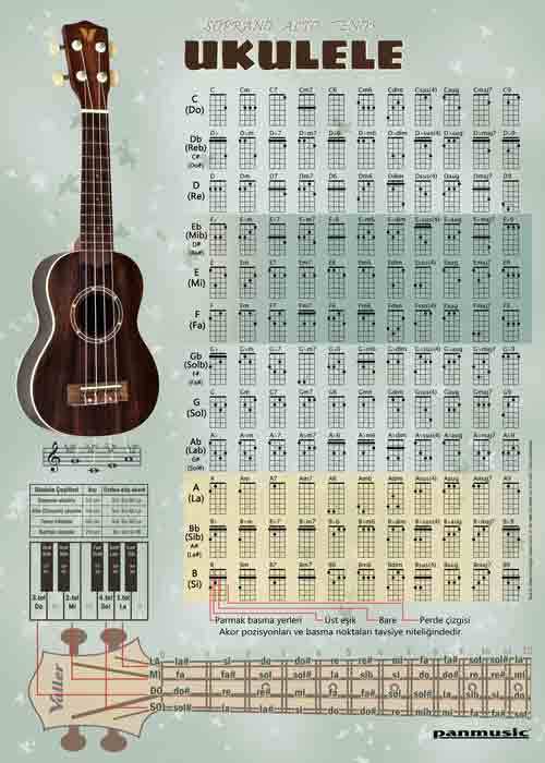 UKULELE POSTERİ