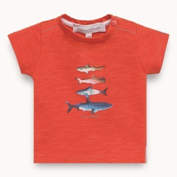 Erkek Çocuk Kısa Kollu T-Shirt