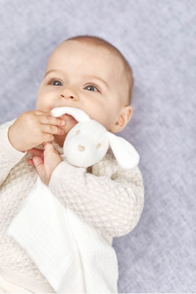 Organik Bebek Uyku Arkadaşı Köpek