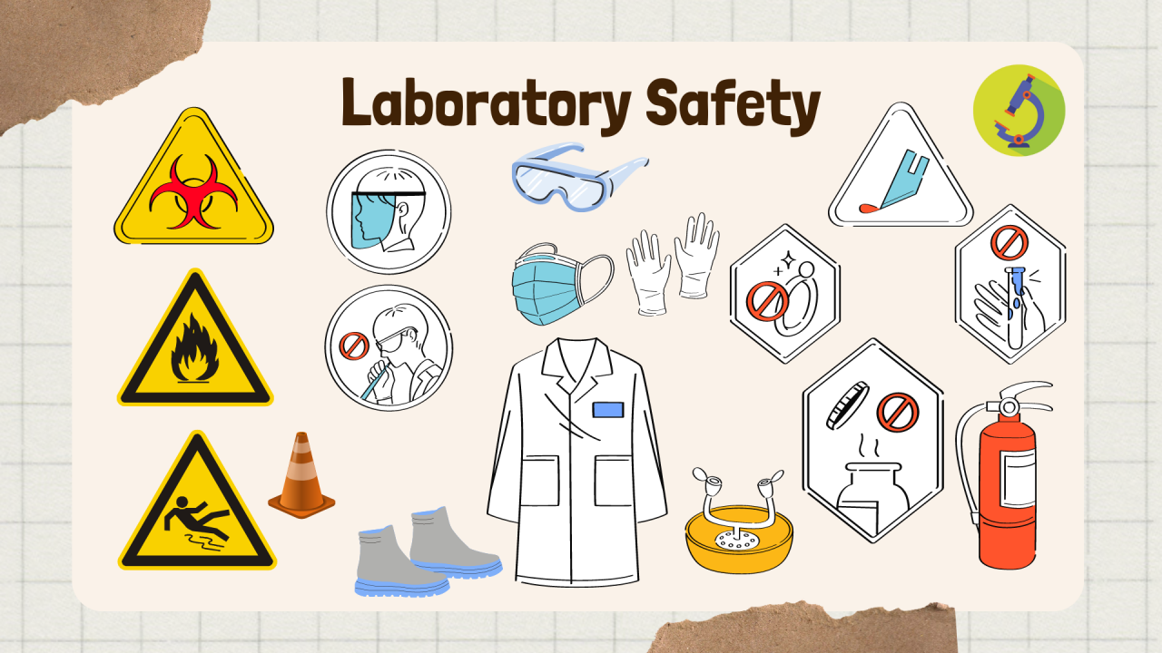 The Importance of Laboratory Safety