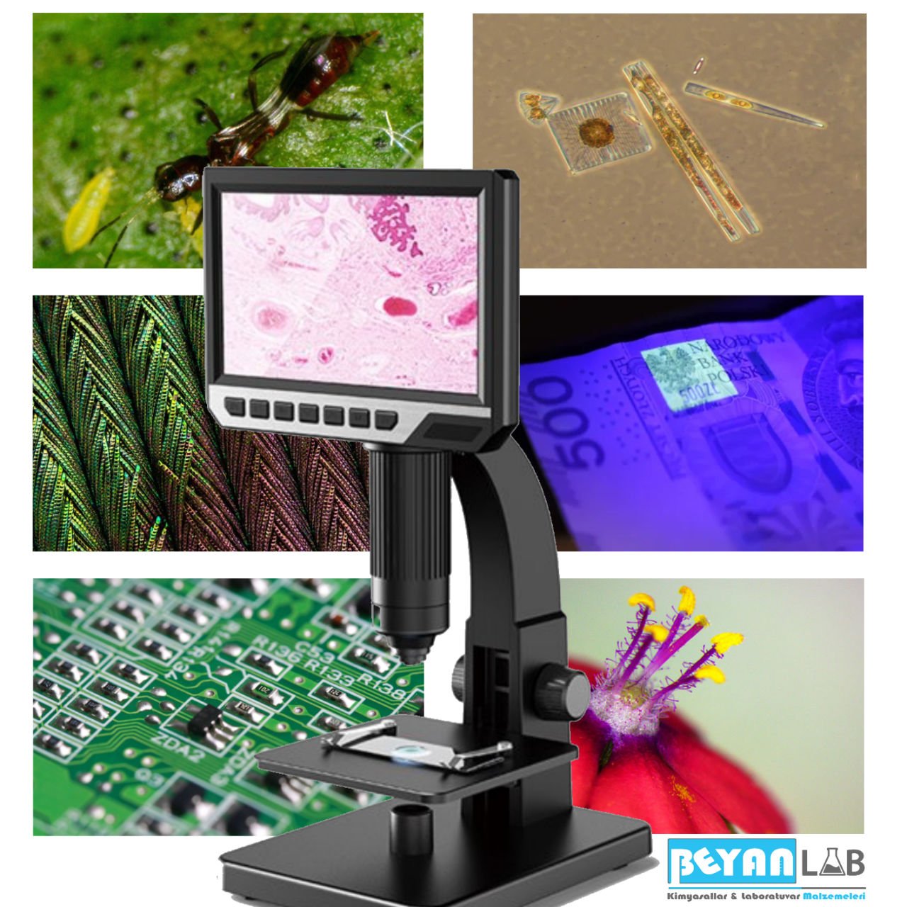 Dijital Mikroskop Nedir? Özellikleri ve Kullanım Alanları