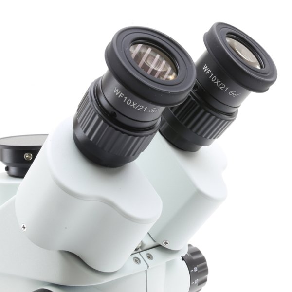 OPTIKA SLX-5 Trinoküler Stereo Zoom Mikroskop