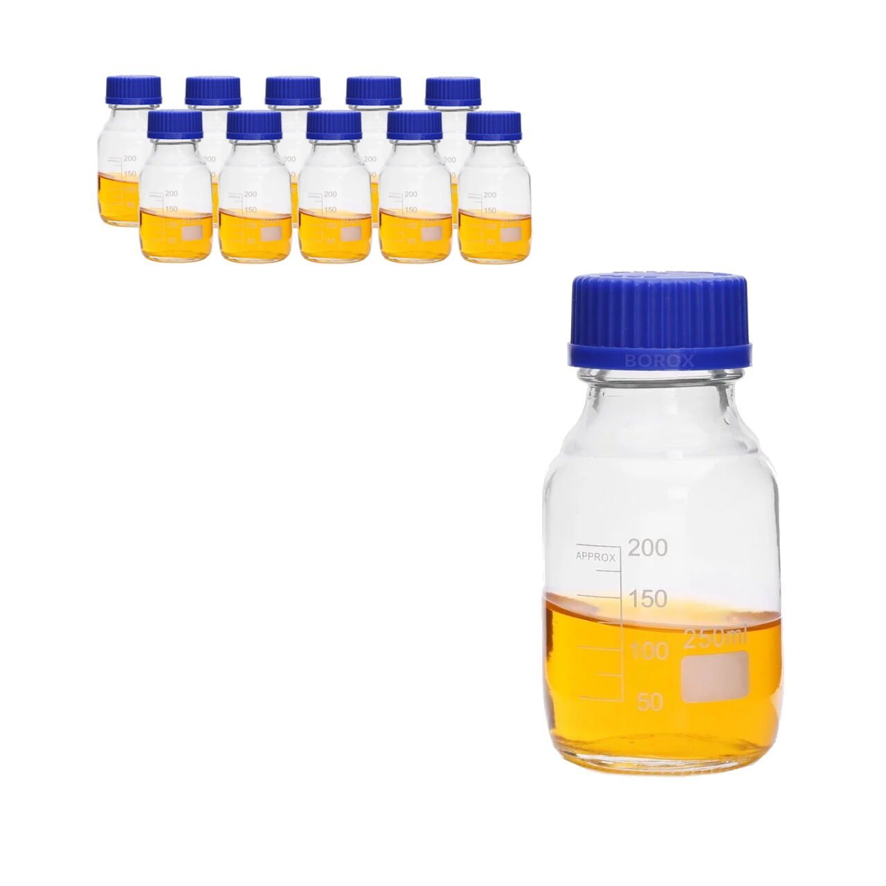 Borox Cam Şişe 250ml - Vida Kapaklı Numune Şişesi - Otoklav Şişe - 10 Adet Toptan