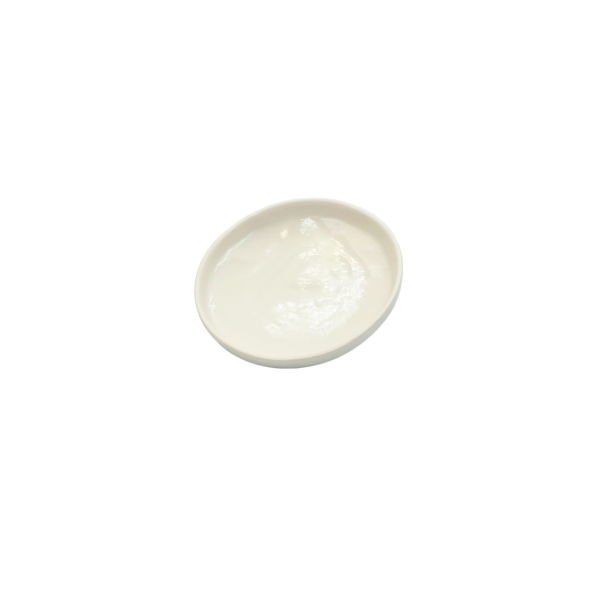 Borox Porselen Kroze Kapağı - 45mm - Porcelain Crucible Cover