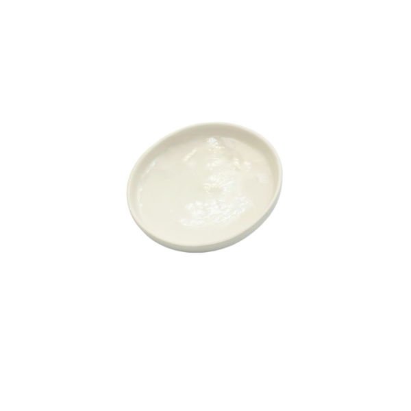 Borox Porselen Kroze Kapağı - 47mm - Porcelain Crucible Cover