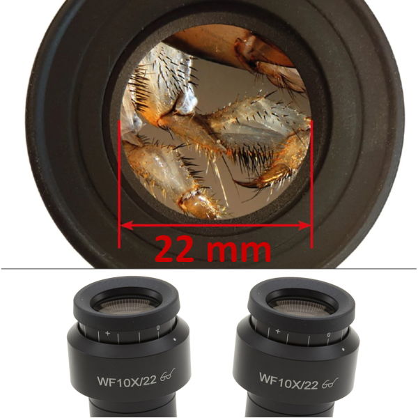 OPTIKA SZX-T+SZ-A1+SZ-ST8 Trinoküler Stereo Zoom Mikroskop