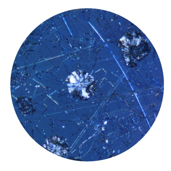 WF 5x Oküler (23mm Ø) - 5x Mikroskop Oküleri