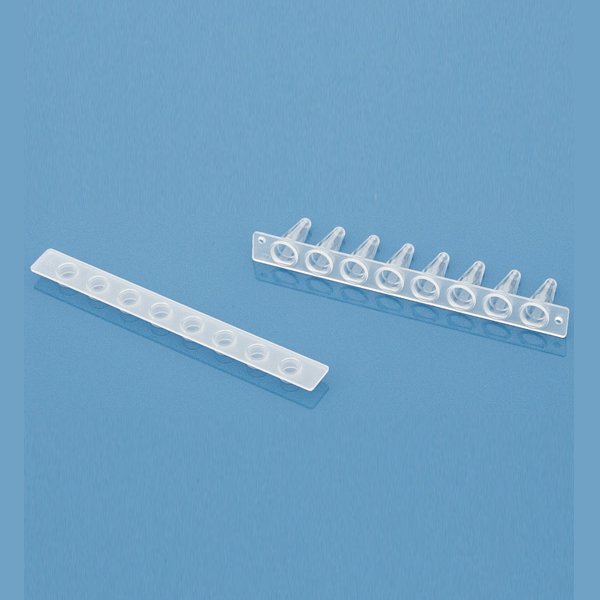 Borox PCR Tüp 0,1 ml Şeffaf - PCR Strip Tubes - 125 Adet