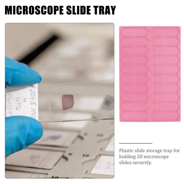 Mikroskop Slide Kutusu - Plastik Slayt Saklama Kabı 20li - Lamel Taşıma Standı Tray - 5 Renk Set
