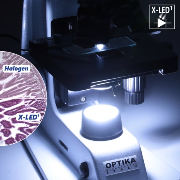 OPTIKA B-157ALC Otomatik Işık Kontrollü Binoküler Mikroskop