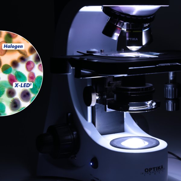 OPTIKA B-383PHi | Faz-Kontrast Laboratuvar Mikroskobu