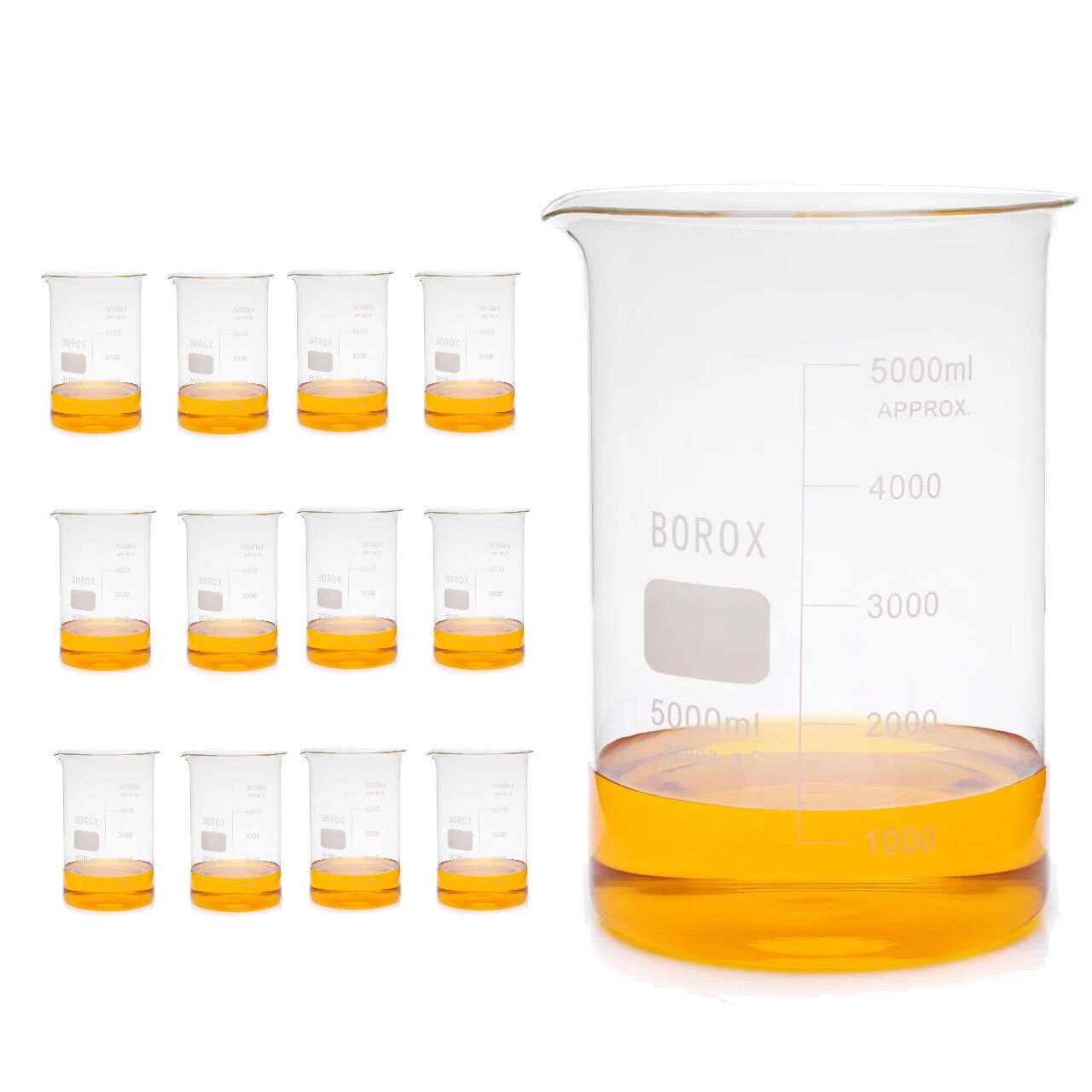 Borox Cam Beher 5000 ml - Kısa Form Beaker 12 Adet-Paket