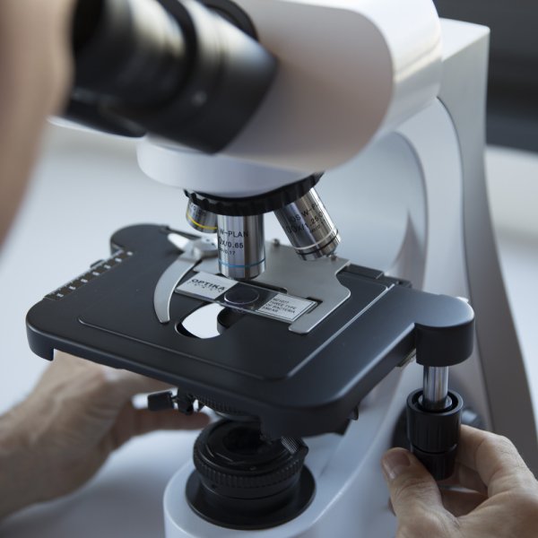 OPTIKA B-510-2 | 2 Başlıklı Eğitim Araştırma Mikroskobu