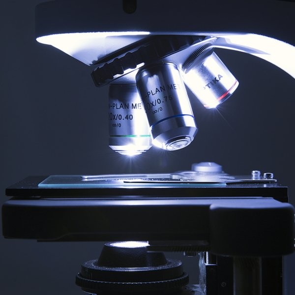 OPTIKA B-510-2F | 2 Başlıklı Eğitim Araştırma Mikroskobu