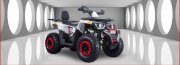 MX220 OFF-ROAD ATV plakasız