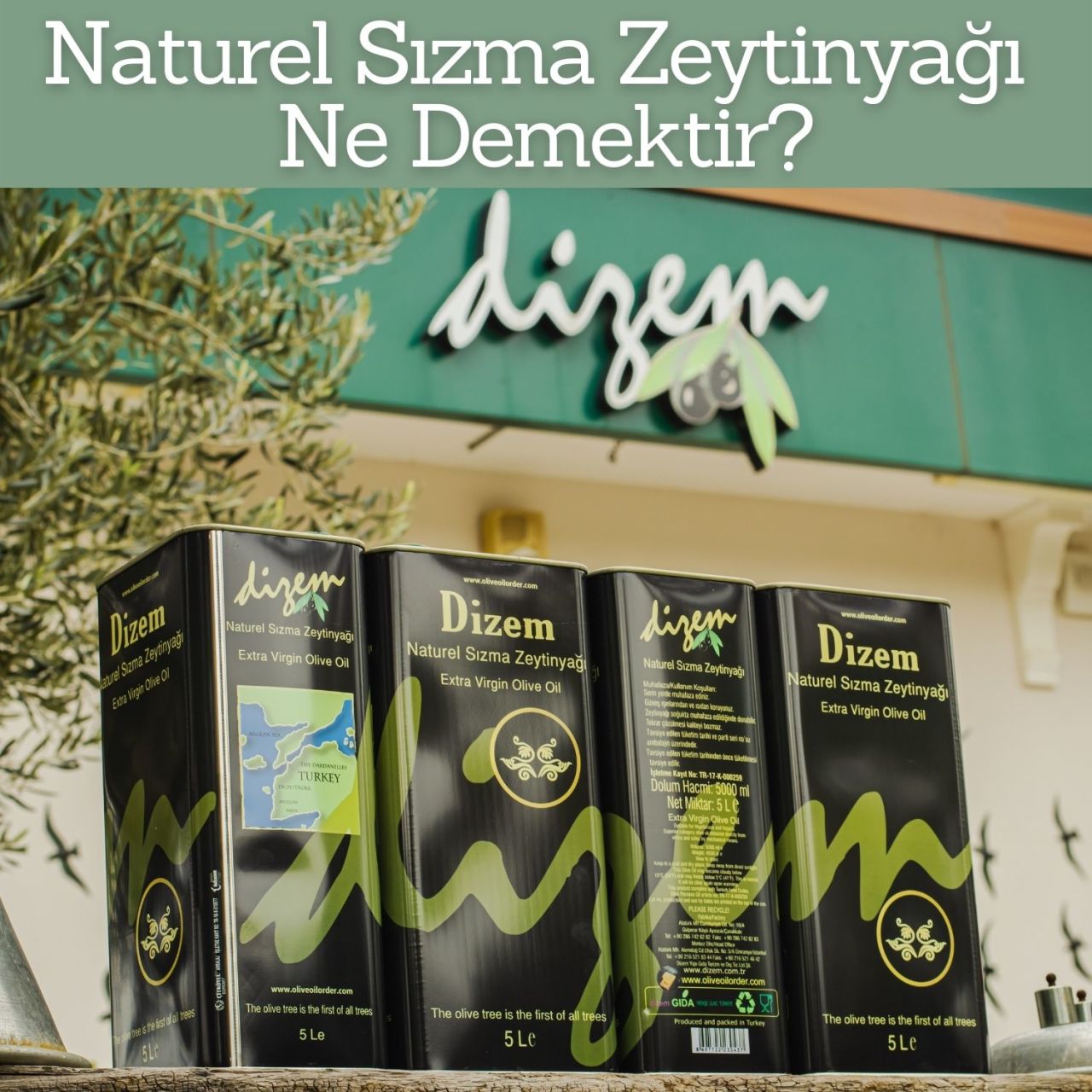 Naturel Sızma Zeytinyağı Ne Demektir?