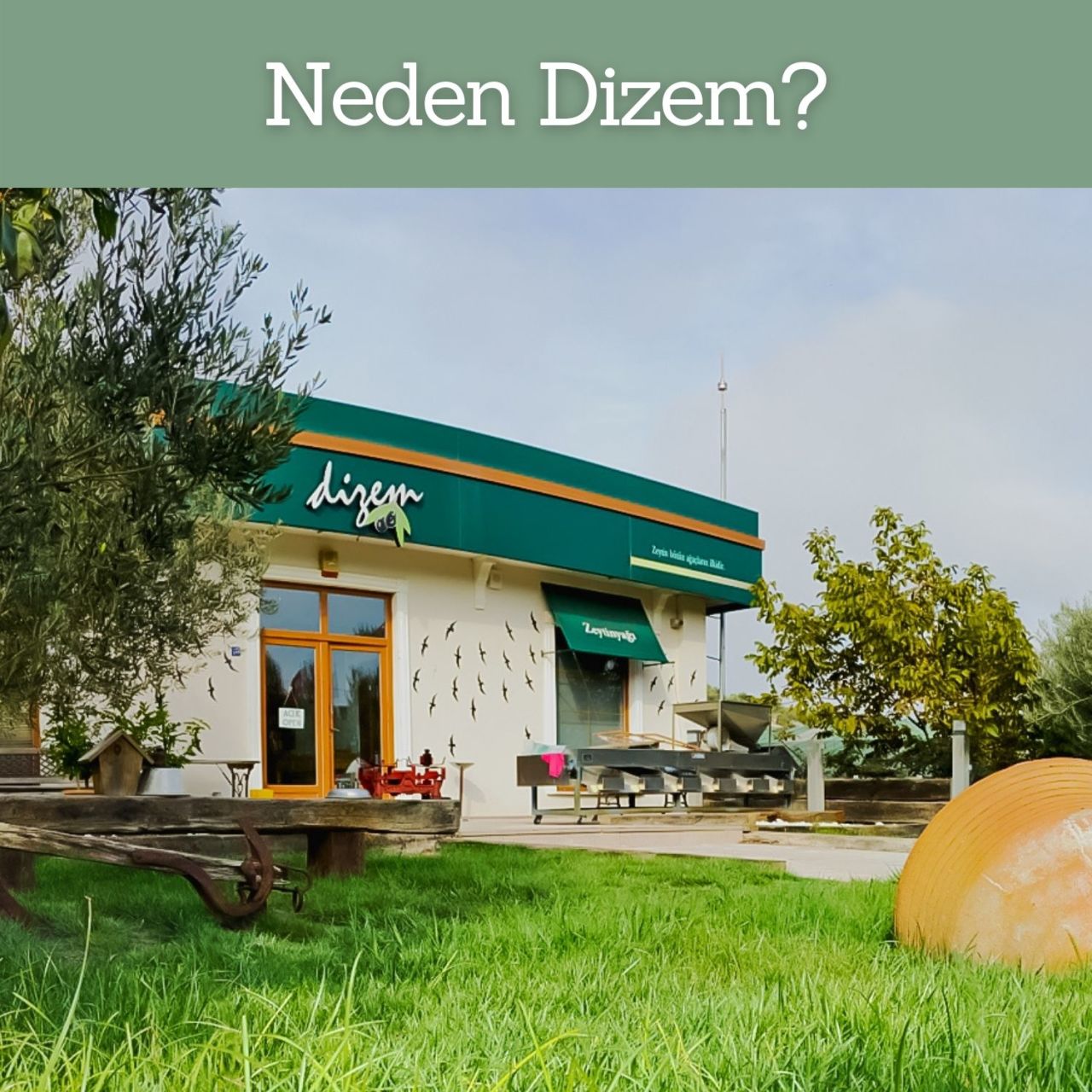 Neden Dizem?