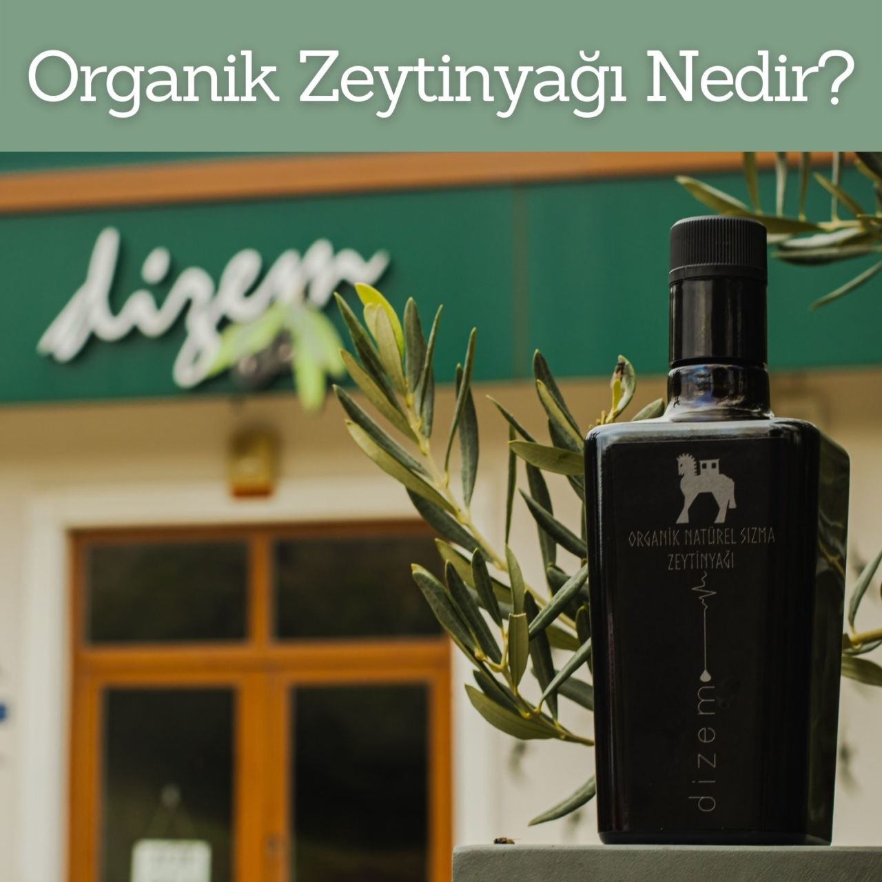 Organik Zeytinyağı Nedir?