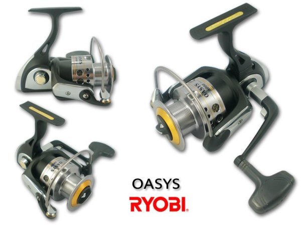 Ryobi Oasys 6000